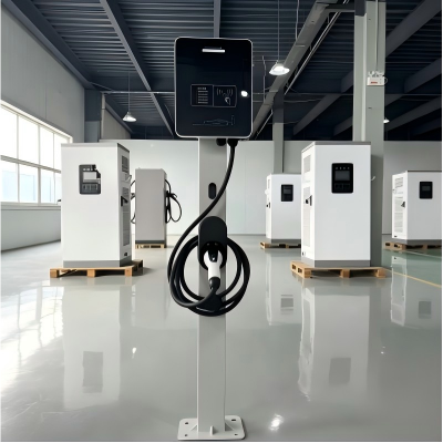 Dual Guns Electric Vehicle Charging Station
